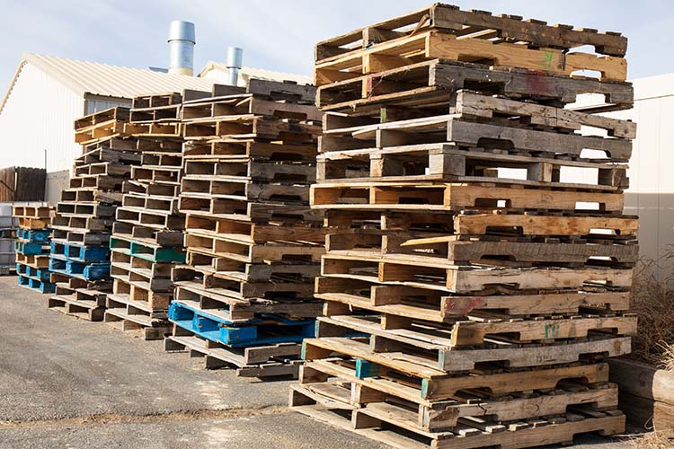Recyclage et revalorisation de palettes Martinique